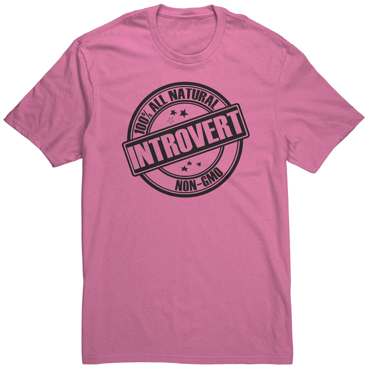 Adult Tee "100% All Natural Introvert" (black print)