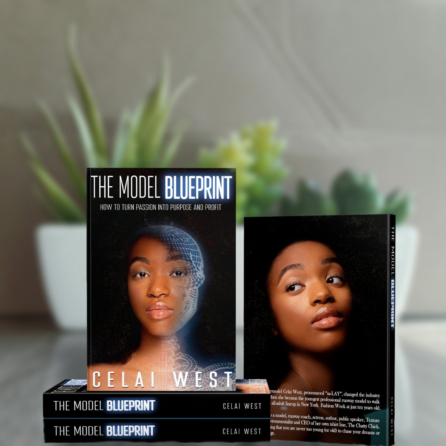 The Model Blueprint: How To Turn Passion Into Purpose And Profit